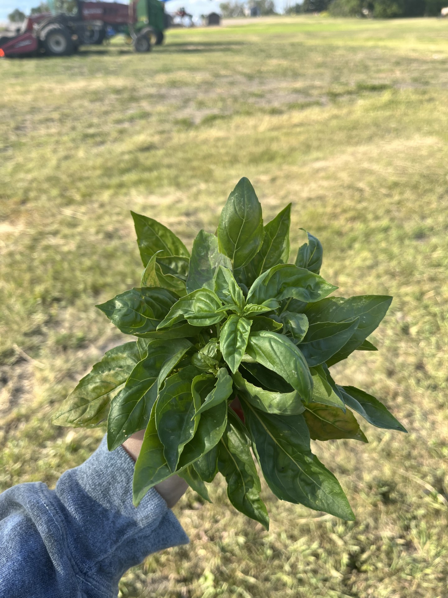 10 off-grid homes for a self-sufficient lifestyle - Dezeen