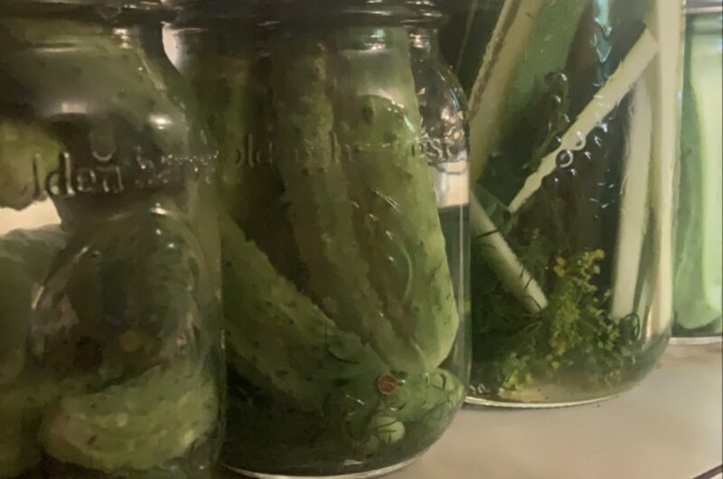 Great Grandmas Dilly Pickles