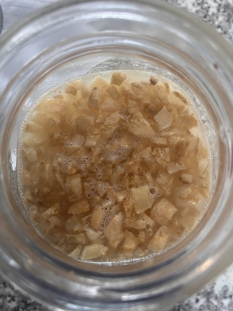 How to Make a Ginger Bug